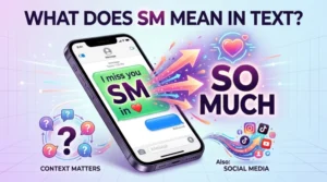 sm mean in text